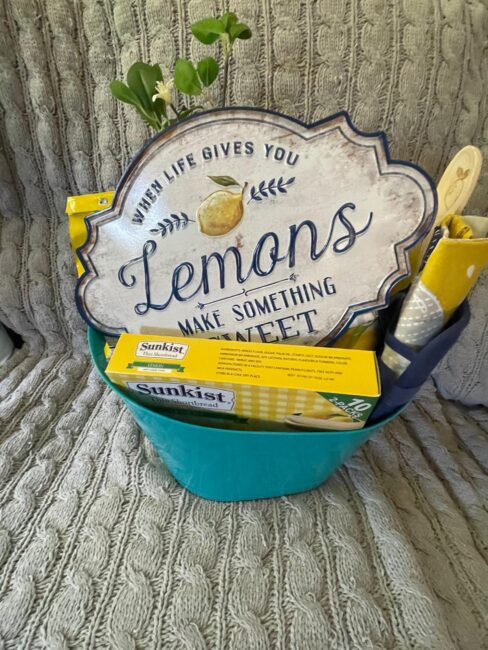 WhatsApp Image 2025-06-28 at 20.11.17